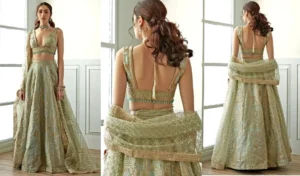 Read more about the article Latest Blouse Designs For Back | Trendy Styles for 2024