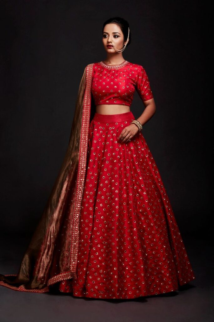 Crop Top Boat Neck Modern Lehenga Blouse Designs