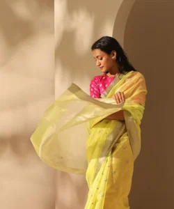 Chanderi Silk Sarees