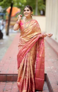 Kanjivaram Silk Sarees